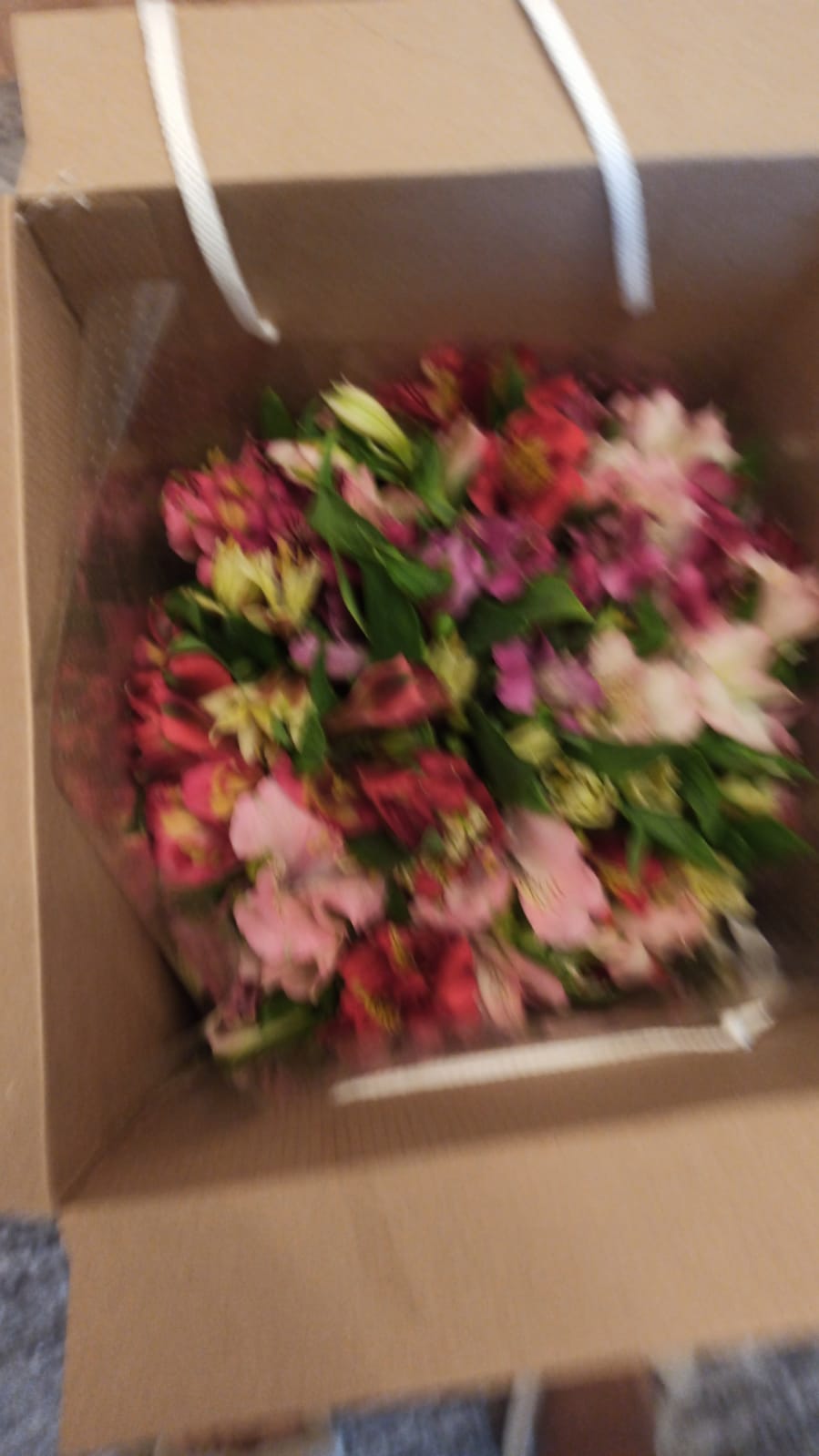 Фото к отзыву #4459