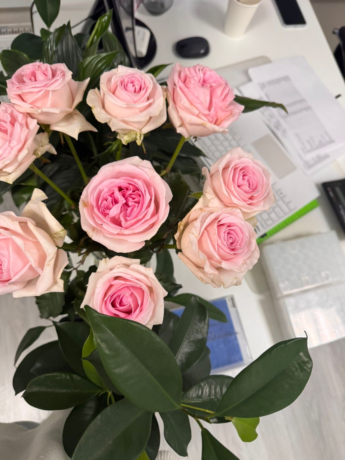 Фото к отзыву #4484