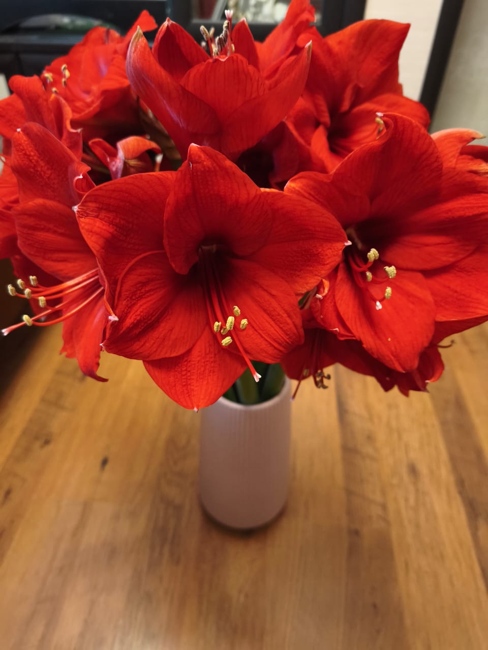 Фото к отзыву #4488