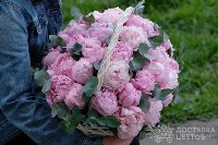 Пионы купить с доставкой по Москве