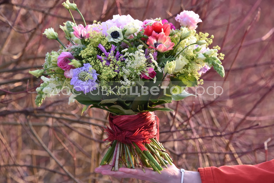 Букет Гудзонский ястреб