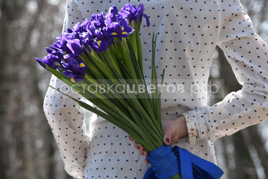 Букет Синие ирисы (не актуальный)