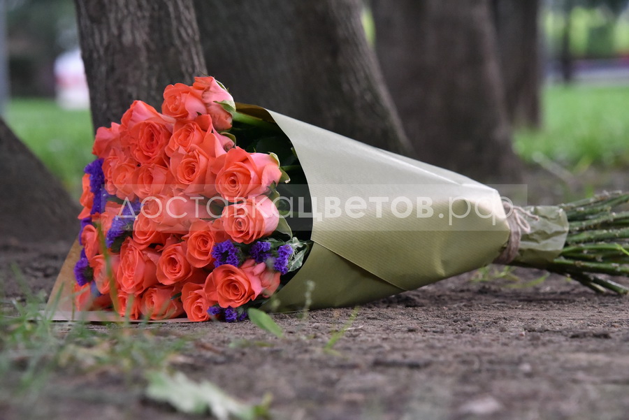 Розы Хитрый лис