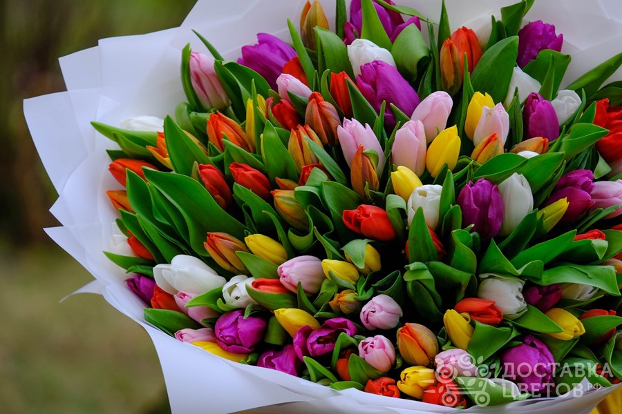 Букет Разноцветные тюльпаны в пленке