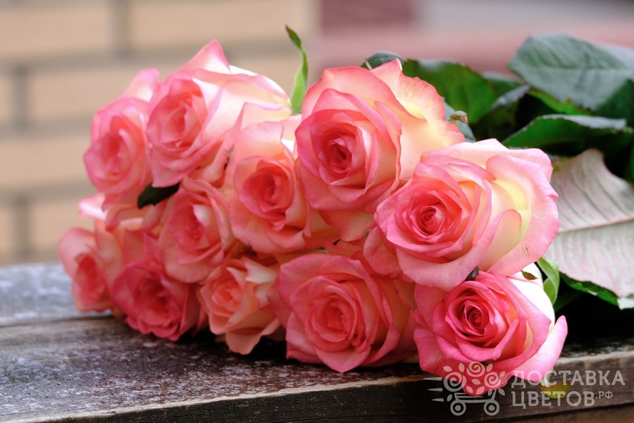 Букет Джумилия