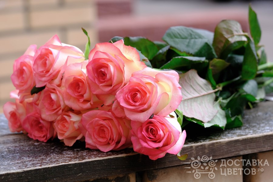 Букет Джумилия