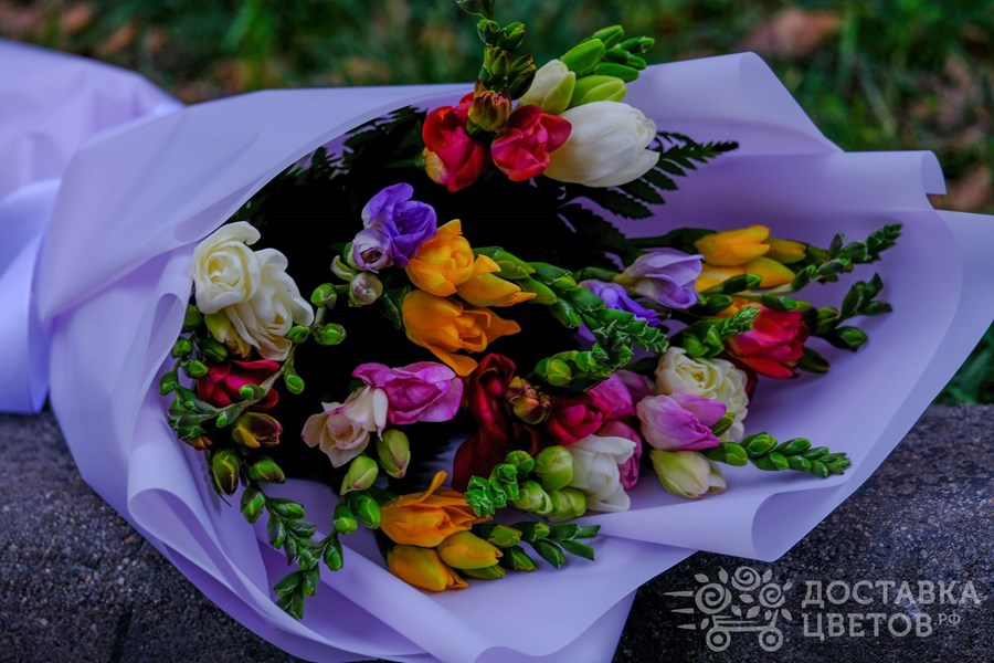 Букет Разноцветная фрезия