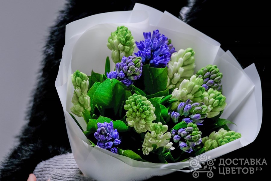 Букет Бело-синие гиацинты