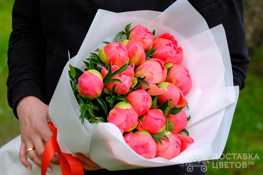 Букет Коралловые пионы