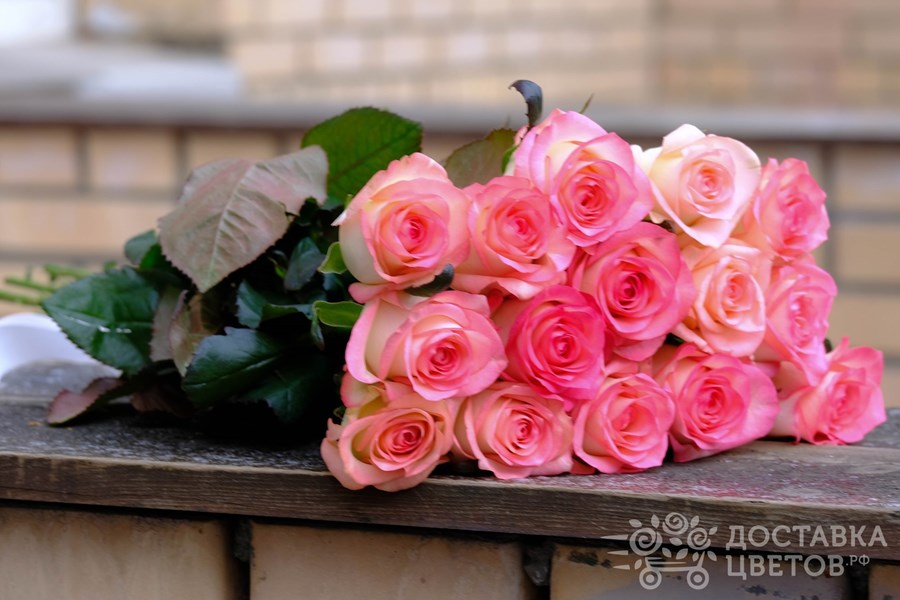 Букет Джумилия