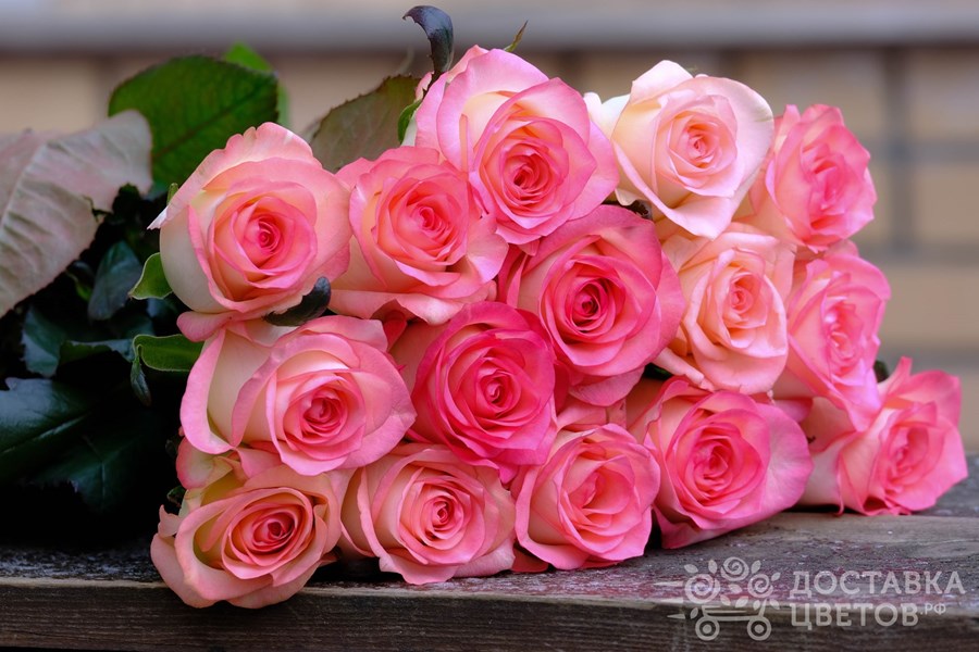 Букет Джумилия