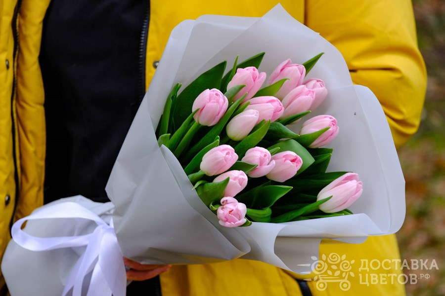 Букет Розовые тюльпаны в пленке