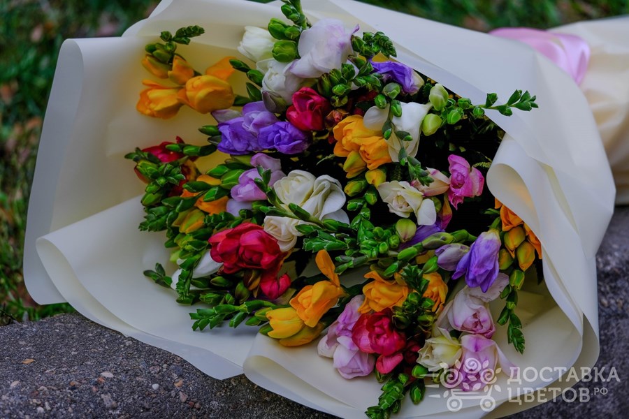 Букет Разноцветная фрезия