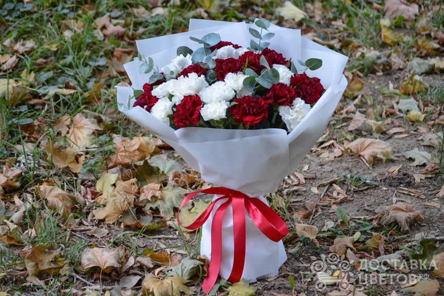 Букет Белые и бордовые гвоздики