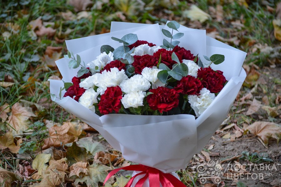 Букет Белые и бордовые гвоздики