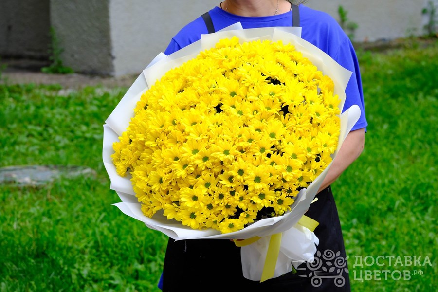 Букет Желтые кустовые хризантемы