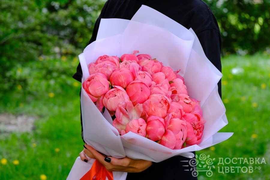 Букет Коралловые пионы