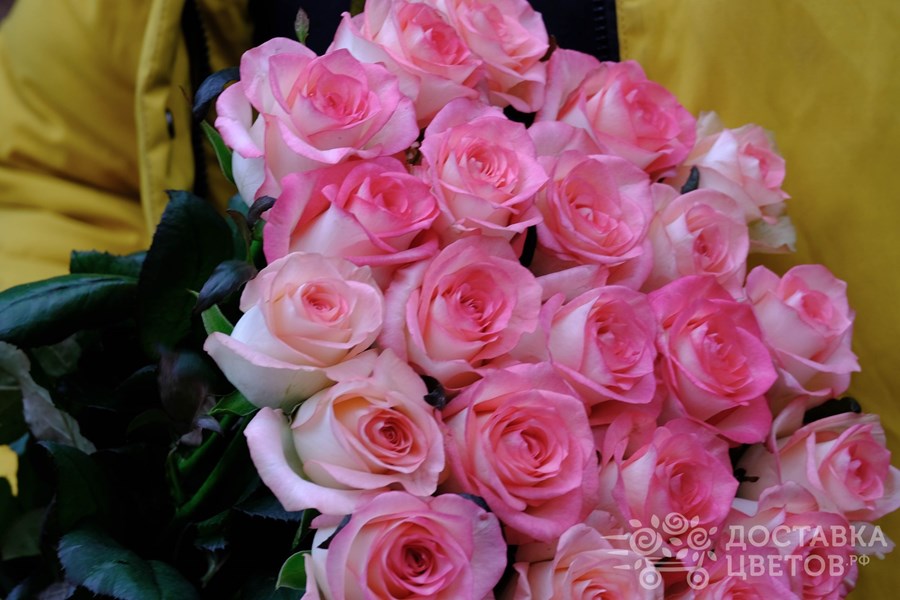 Букет Джумилия