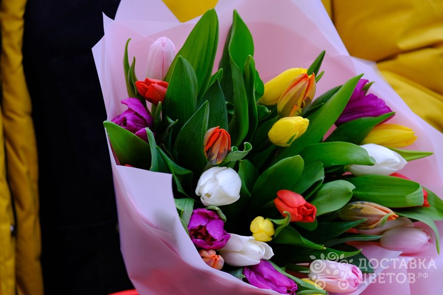 Букет Разноцветные тюльпаны в пленке
