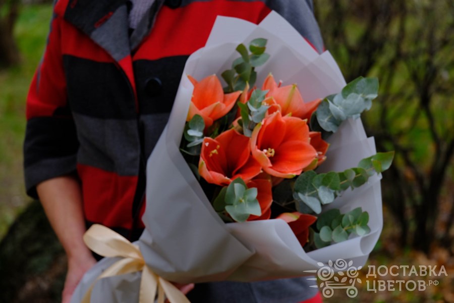 Букет Персиковые амариллисы