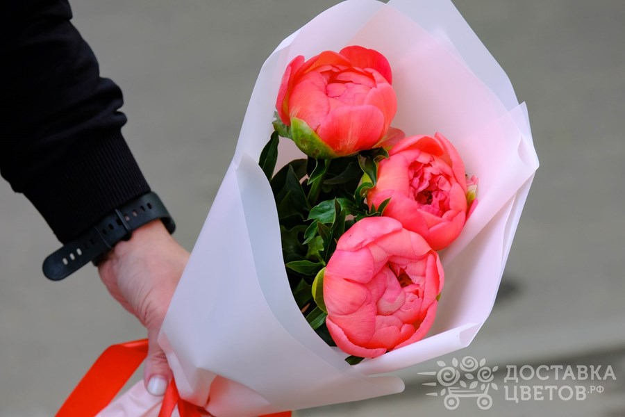 Букет Коралловые пионы