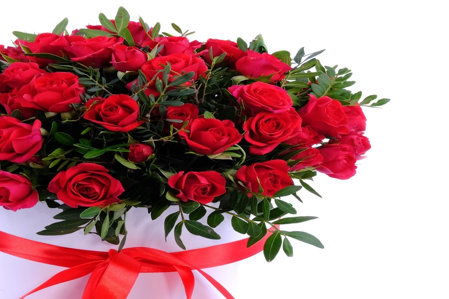 Розы Кения микс