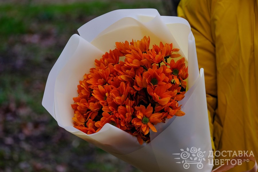 Букет Оранжевые кустовые хризантемы