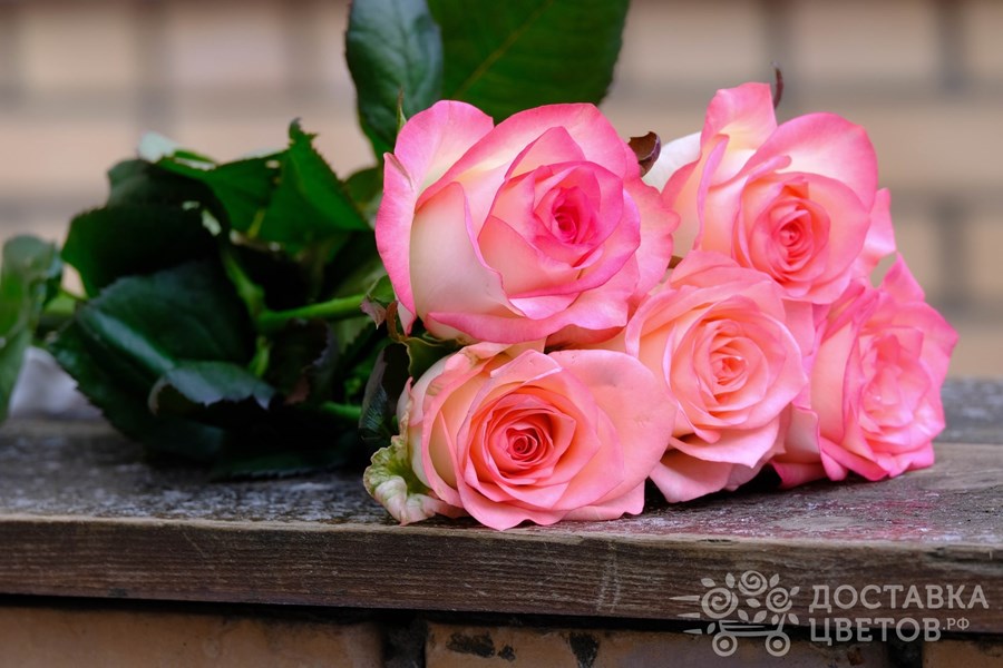 Букет Джумилия