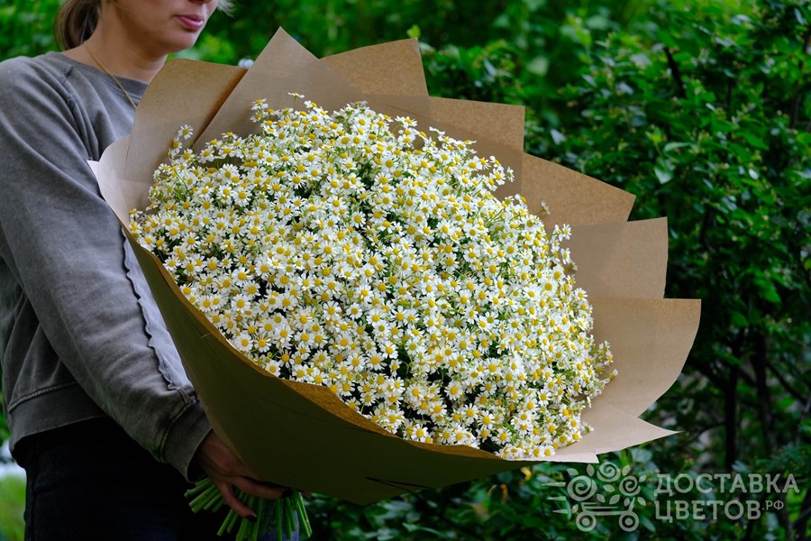 Букет Ромашки