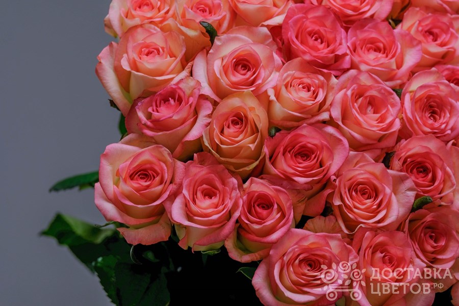 Букет Джумилия