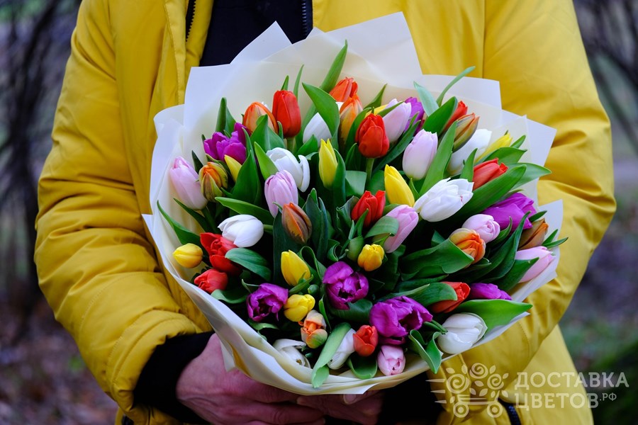 Букет Разноцветные тюльпаны в пленке