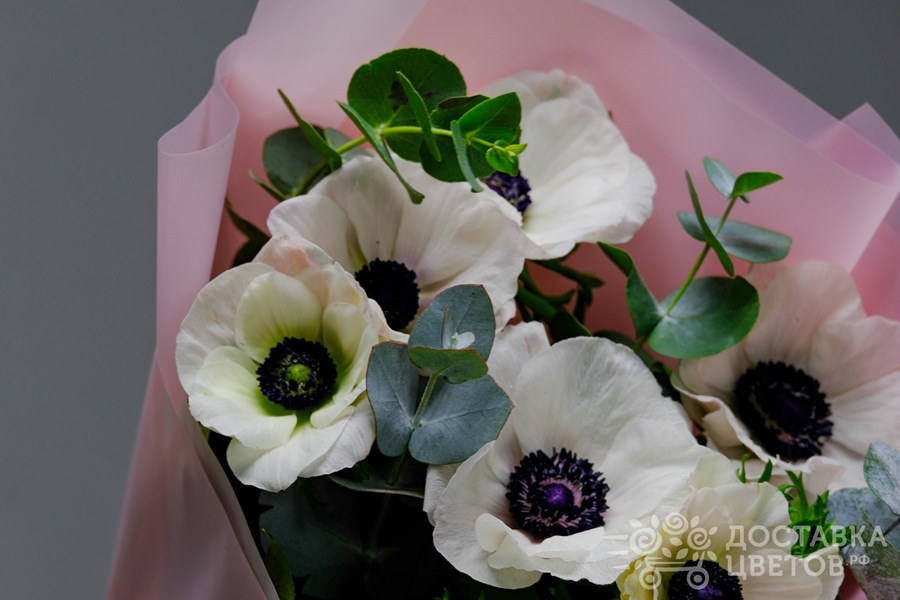 Букет Белые анемоны