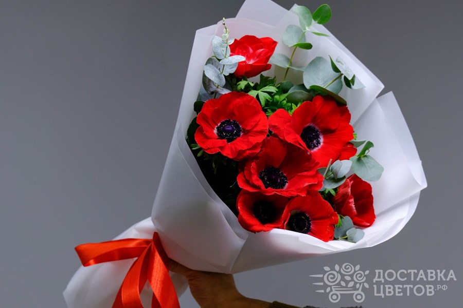 Букет Красные анемоны
