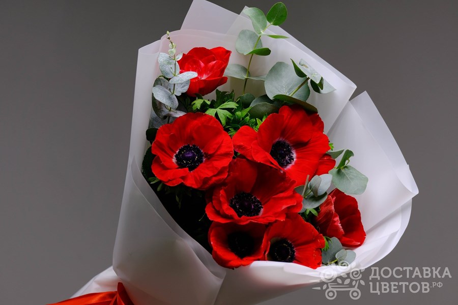 Букет Красные анемоны
