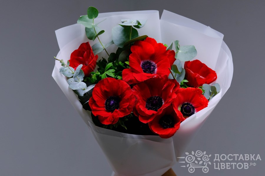 Букет Красные анемоны