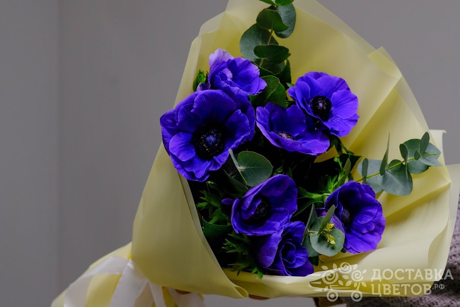 Букет Синие анемоны