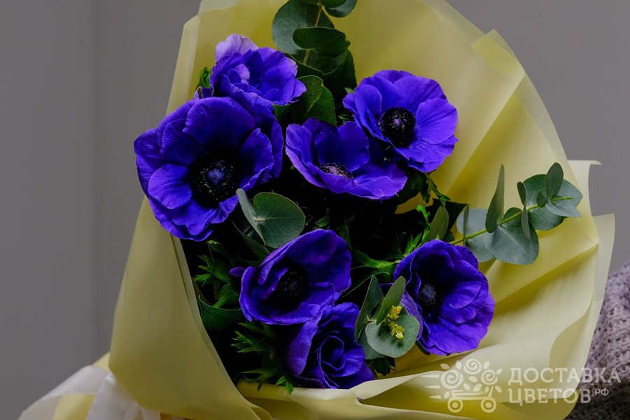 Букет Синие анемоны