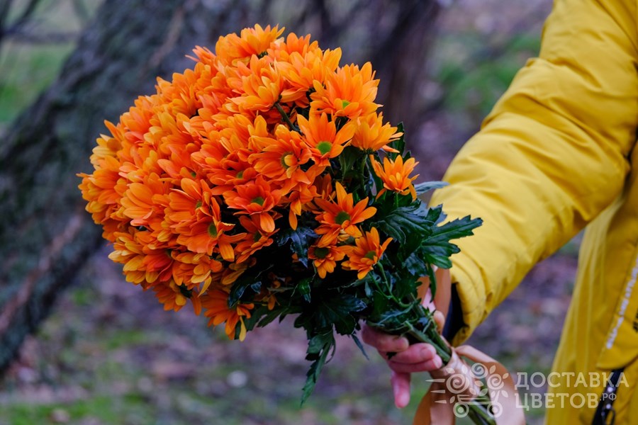 Букет Оранжевые кустовые хризантемы