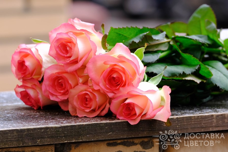 Букет Джумилия