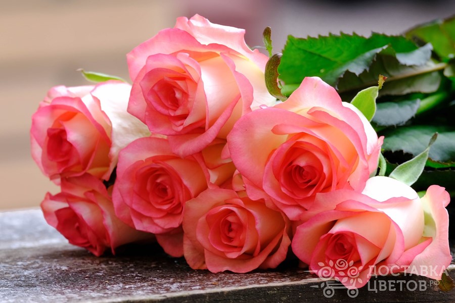 Букет Джумилия