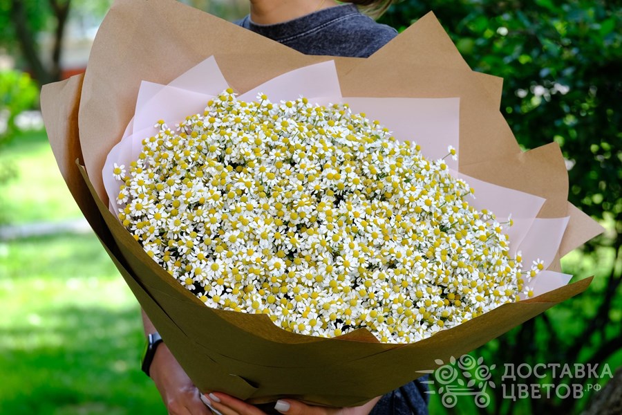 Букет Ромашки