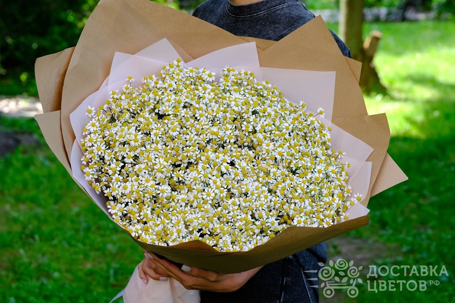 Букет Ромашки