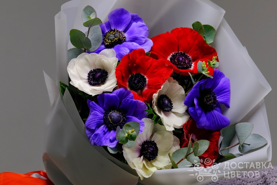 Букет Разноцветные анемоны