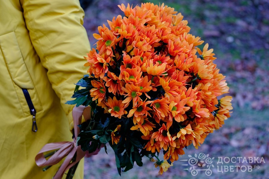 Букет Оранжевые кустовые хризантемы