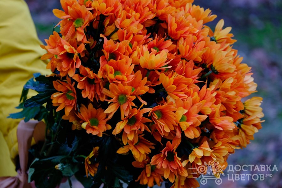 Букет Оранжевые кустовые хризантемы