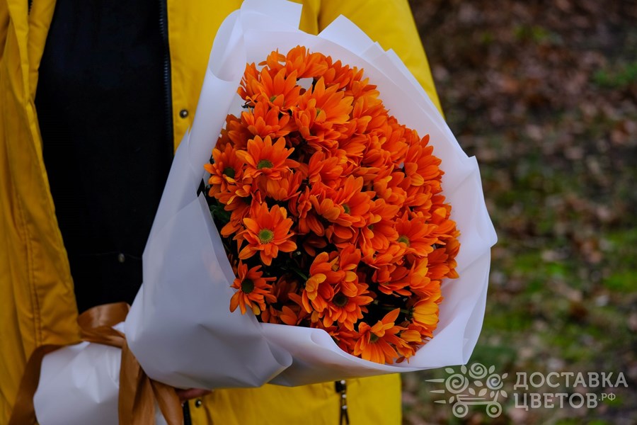Букет Оранжевые кустовые хризантемы