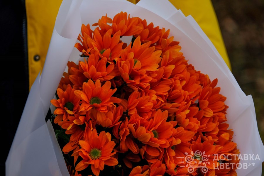 Букет Оранжевые кустовые хризантемы