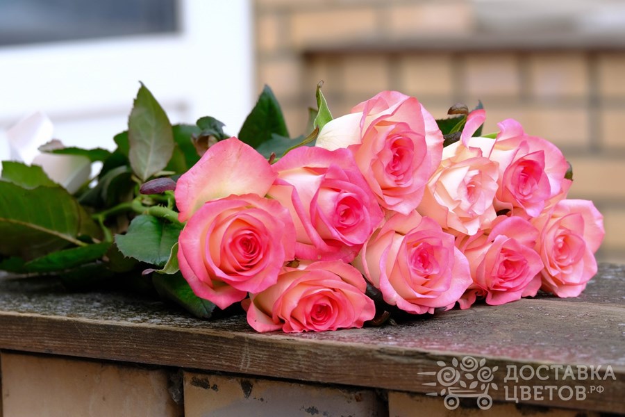 Букет Джумилия