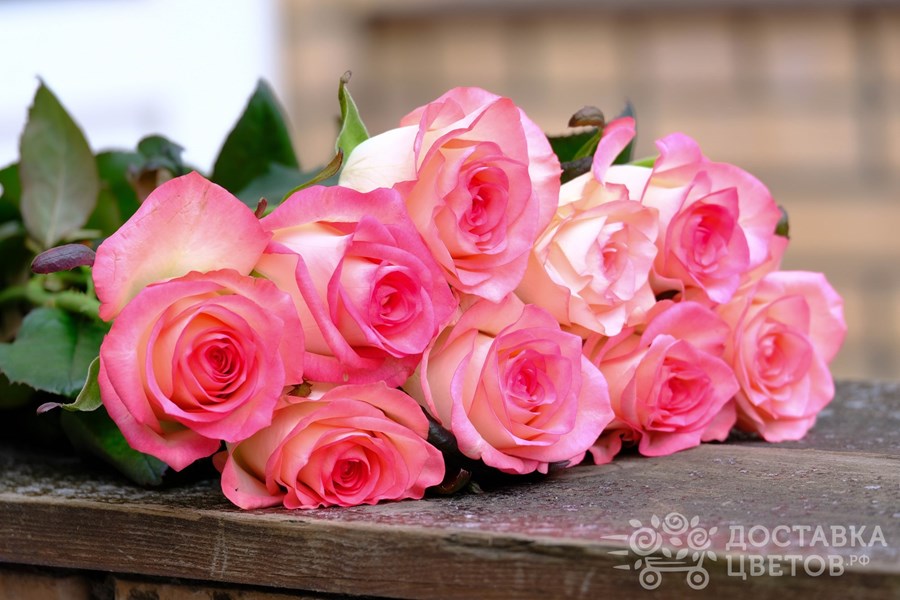 Букет Джумилия