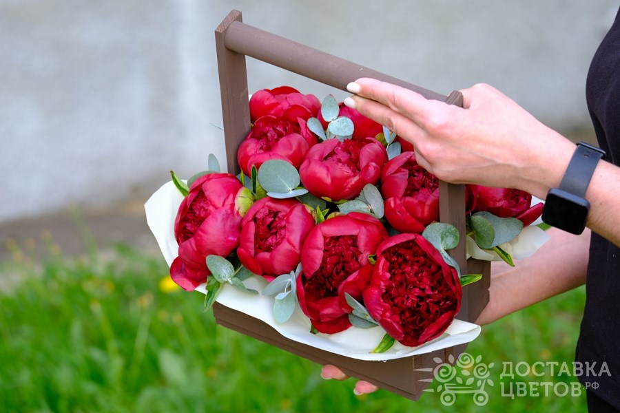 Цветы в ящике Красные пионы